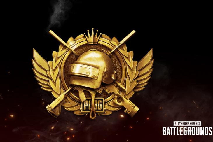 PUBG #22 website