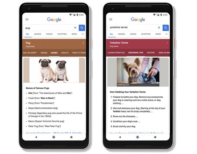 Google Search Gets Stories, Video Results, Google Lens in Images and More