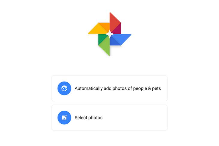 google photos live albums how to featured