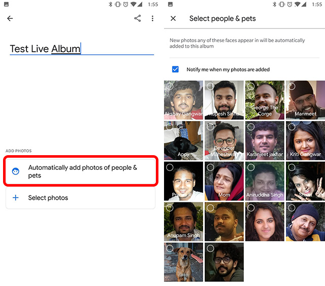How to Create Live Albums in Google Photos on Android, iOS, and Web