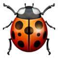 ž Lady Beetle