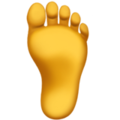 Foot