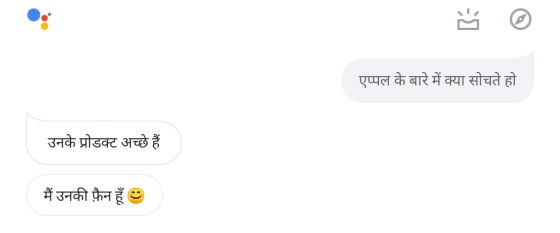 Google Assistant in Hindi is Witty, Surprising and Hilarious!