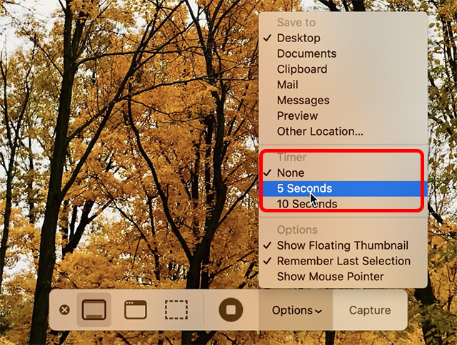 Screenshot zum Einstellen von Timern im MacOS-Screenshot-Tool
