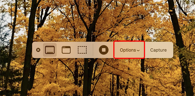 macOS Mojave screenshot tool showing options