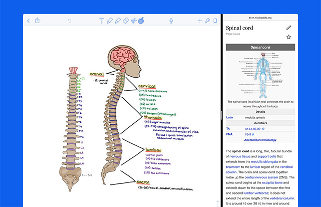 Notability - Best Apple Pencil Apps 