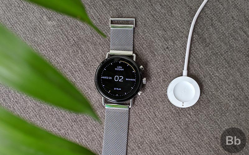 Skagen falster 2 online release date