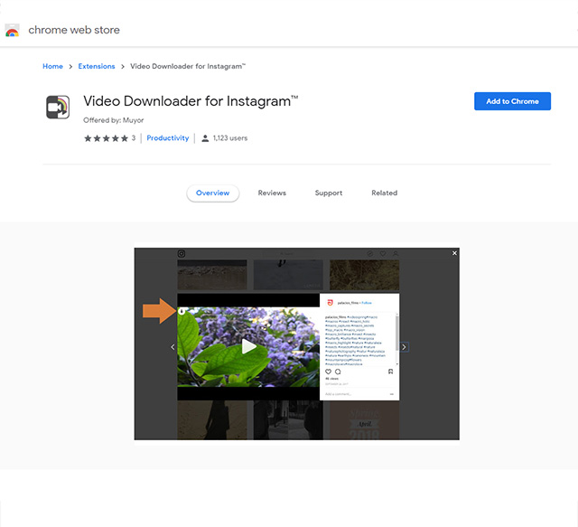 video instagram downloader