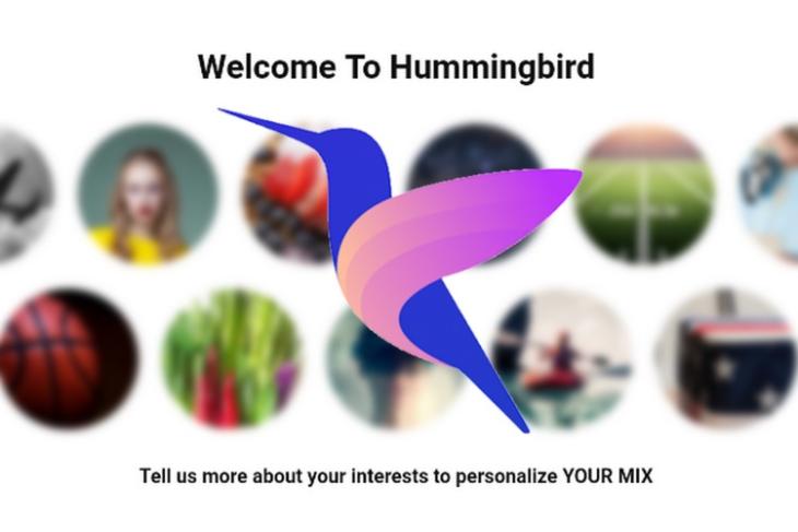 hummingbird web