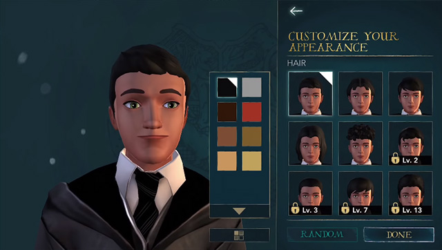 Harry Potter Hogwarts Mystery