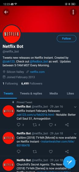 13. @netflix_bot