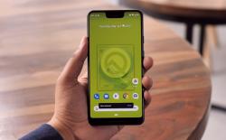 android Q hidden features