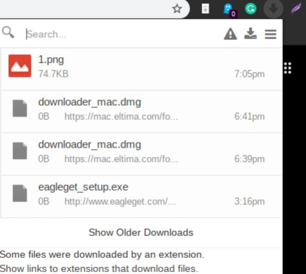 free download manager chrome support