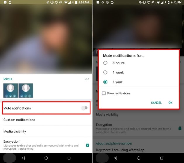 How to Customize Whatsapp Notification on Android and iOS