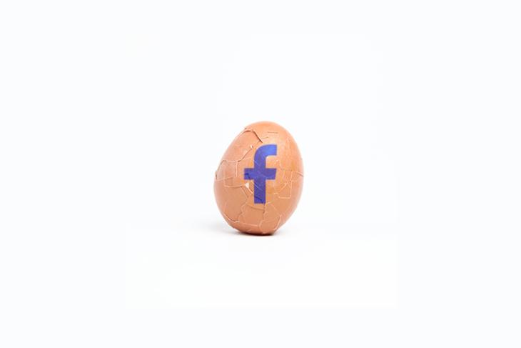 florida teen arrested facebook egg challenge
