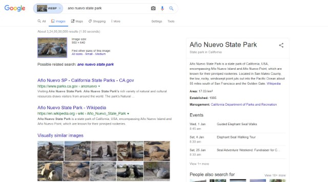 Google Reverse Image Search results