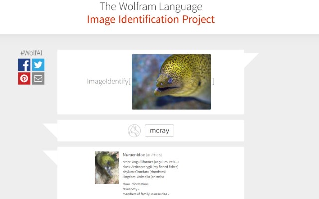 Best Reverse Image Search Engines, Apps, and Uses [2020] | Beebom