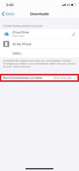 Remove Safari Download items