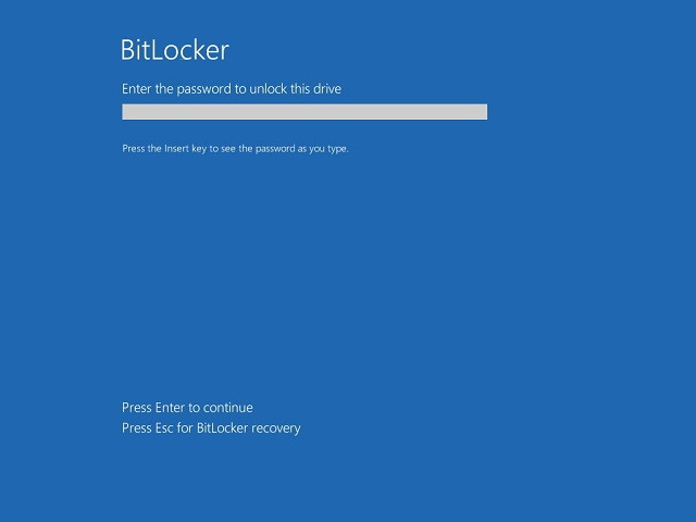 BitLocker