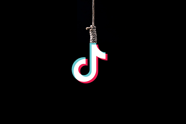 Mother Of Two From Tamil Nadu Commits Suicide On Tiktok Beebom