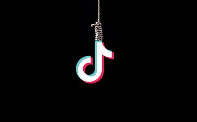 Mother of two from Tamil Nadu suicide on TikTok