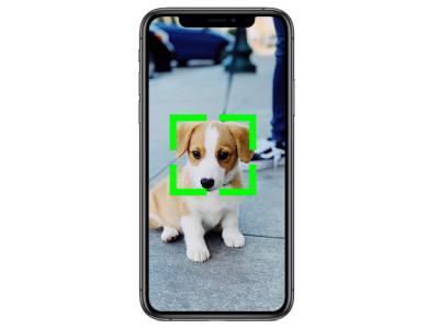 iphone recognise dogs cats featured