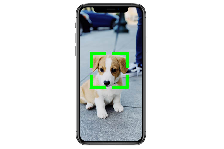 iphone recognise dogs cats featured