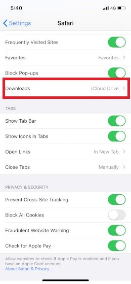 Safari Download Manager in iOS
