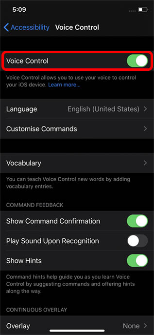How to Set Up and Use Voice Control in iOS 13