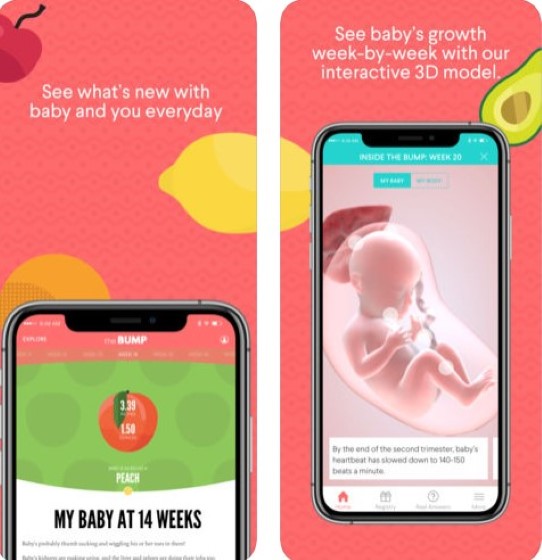 The Bump pregnancy app 