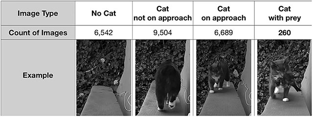 An Amazon Engineer Made an AI Cat Flap to Stop His Cat from Bringing Dead Animals Inside