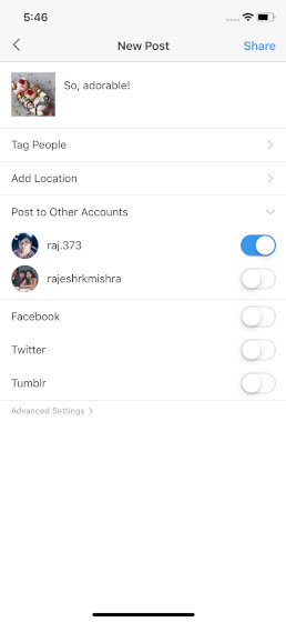 manage multiple instagram 