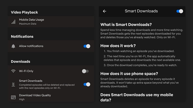 netflix smart downloads