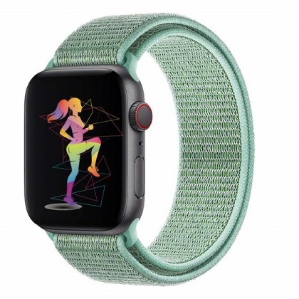 apple series 5 watch band