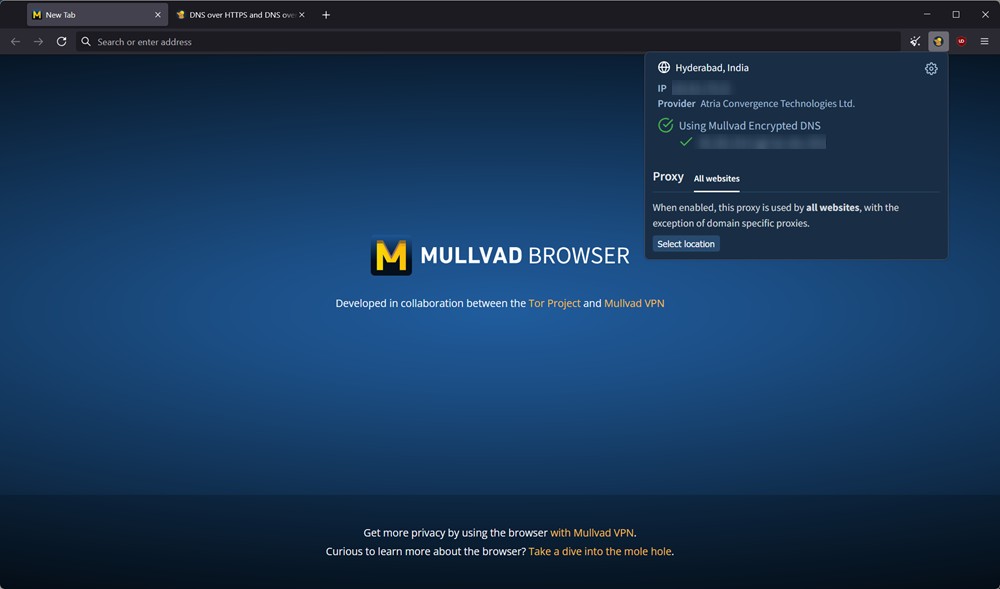 Mullvad browser home screen with IP address and city