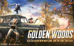 PUBG Mobile Lite gets new map, guns, and vehicles