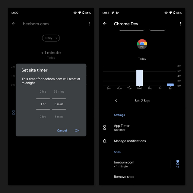 android 10 site timers