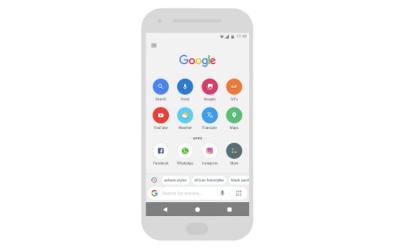 Google Go gets Incognito Mode