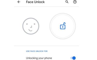 Pixel 4 Facial Recognition website