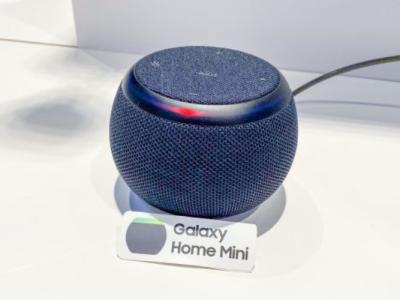Samsung Galaxy Home Mini speaker shown off at dev con