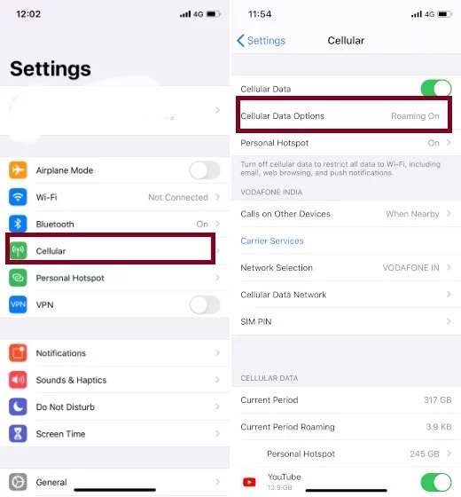 Tap on Cellular and Choose Cellular Data Options