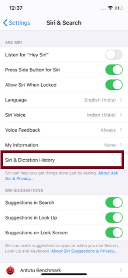 Tap on Siri & Dictation History