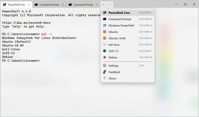 Windows Terminal Preview 1910 Released With Updated UI, Dynamic Profiles and More