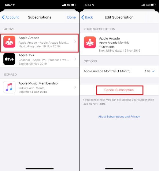 3. Cancel App Subscription in iOS 13 and iPadOS 13
