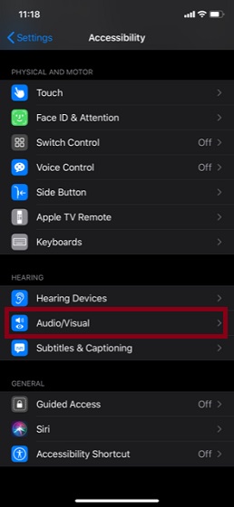 Select Audio and Visual option