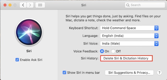 Click on Siri & Dictation History