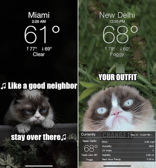 Grumpy Cat's Funny Weather