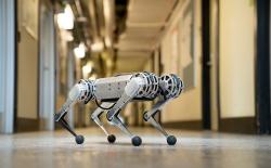 MIT-Mini-Cheetah