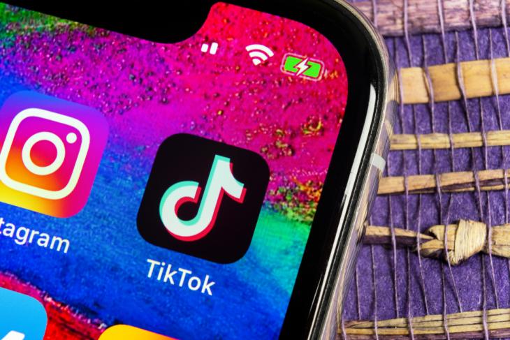 TikTok for Artists launched
