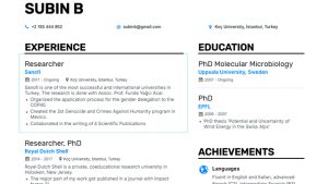 This AI Generates a Professional Resume for You | Beebom